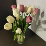 Zia Rose Lägenhet Neapel