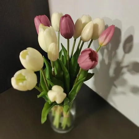 Zia Rose Apartment Neapel